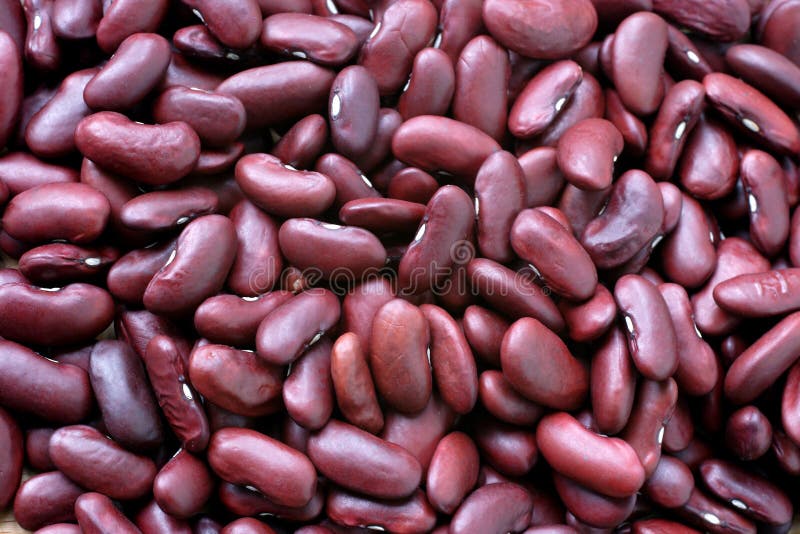Red kidney beans stock photo