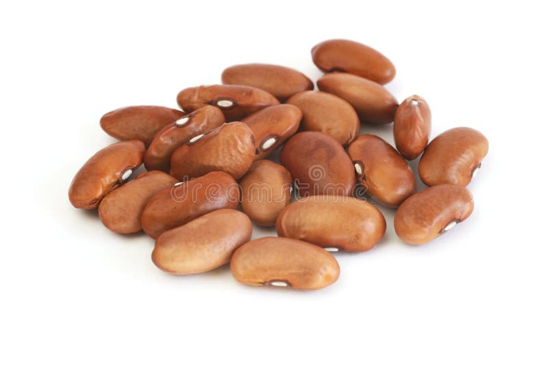 Red kidney beans stock image