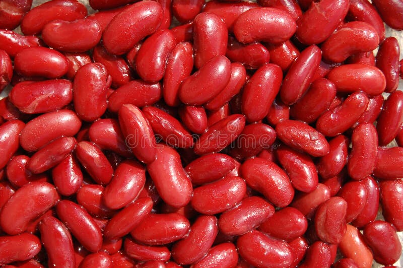 Red kidney beans royalty free stock image