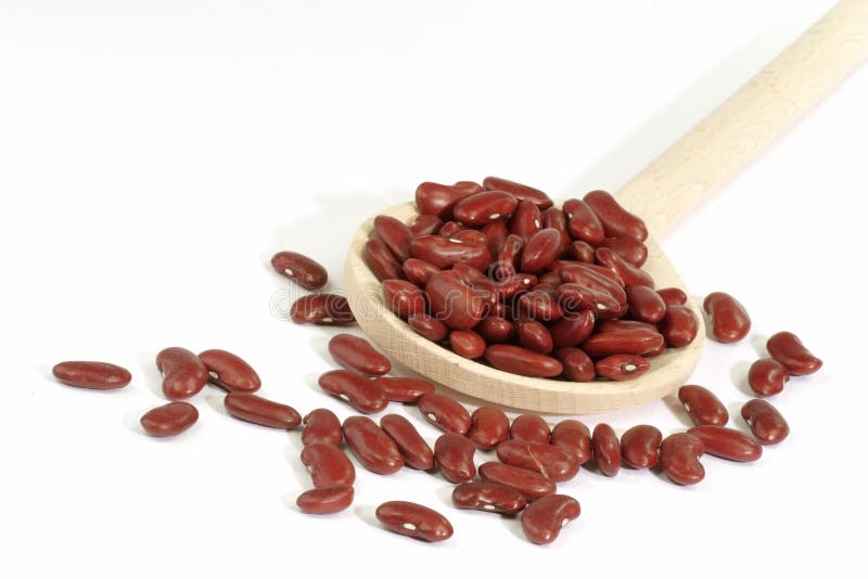 Red Kidney Beans on a cooking spoon royalty free stock photography