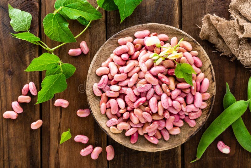 Red kidney beans. Haricot bean with leaves