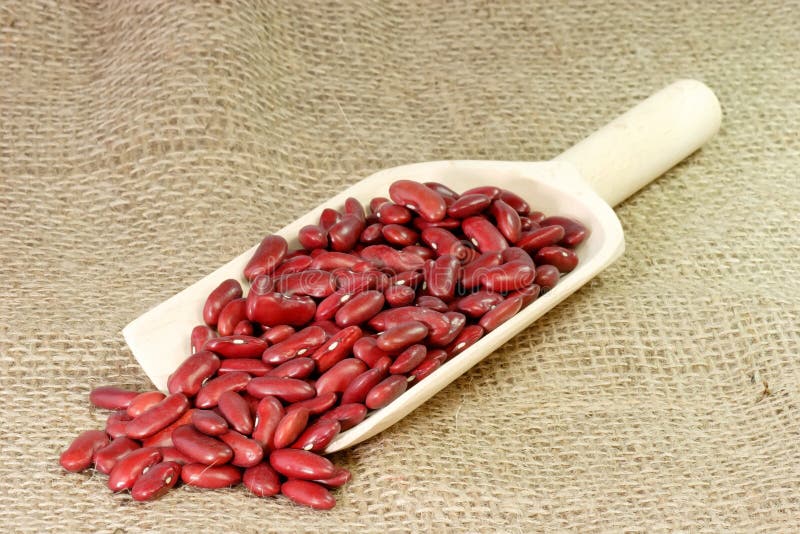 Red Kidney Beans on a Shovel royalty free stock photos