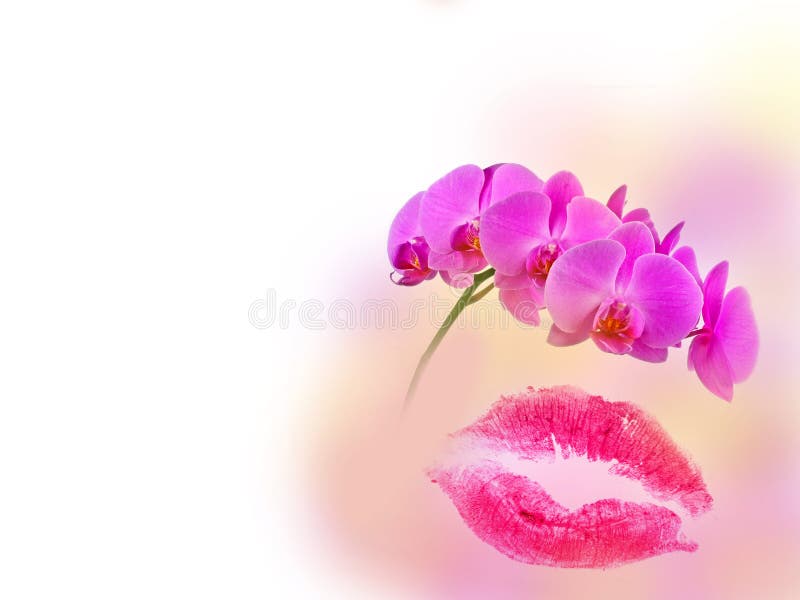 2,008 Kiss Mark Stock Photos - Free & Royalty-Free Stock 2,008 Kiss Mark Stock Photos - Free & Royalty-Free Stock