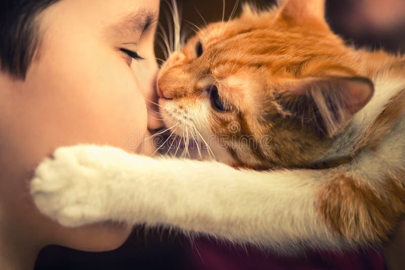 Red kitten play and bites the nose of a little boy royalty free stock photography Red kitten play and bites the nose of a little boy royalty free stock photography