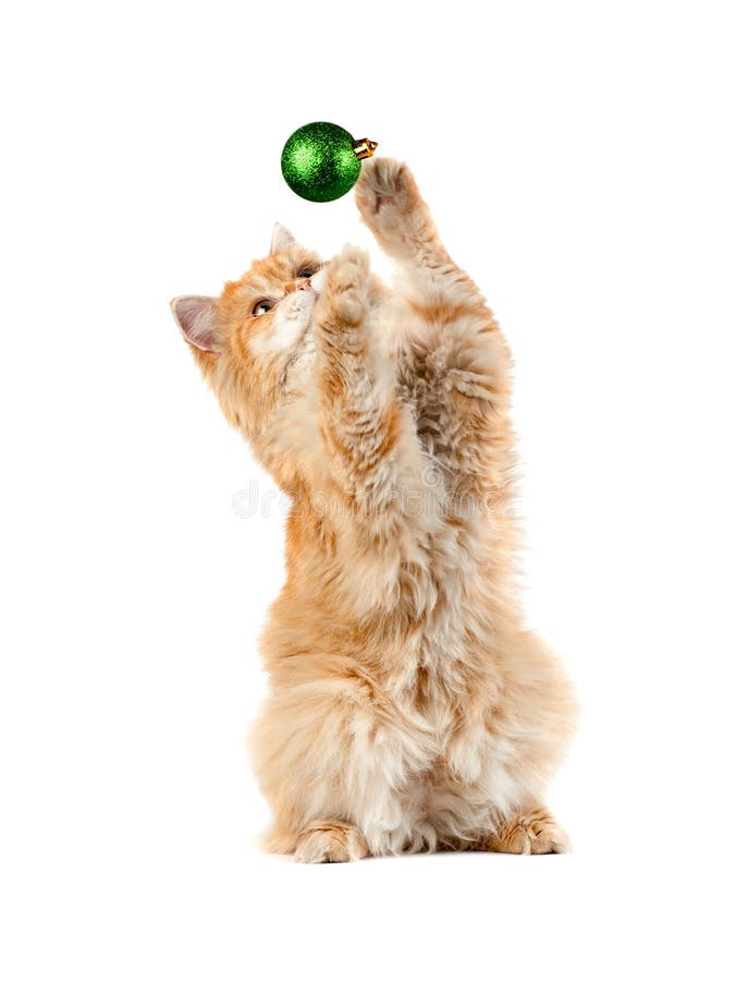 Red kitten sitting plays new year s green ball