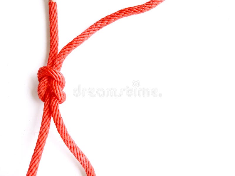 Rope Knots stock illustration. Illustration of graphic - 9263973
