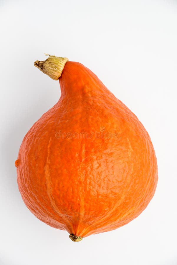 Red kuri squash isolated stock image. Image of isolated 64546739