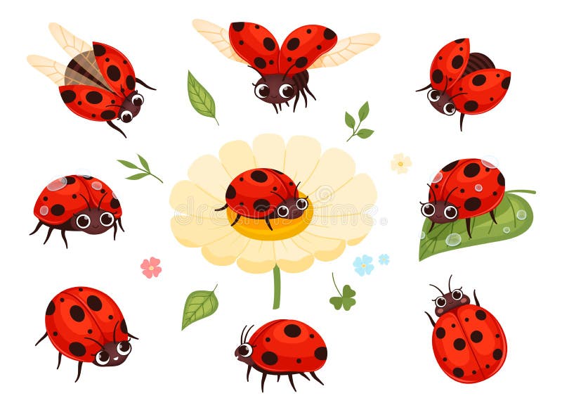 Lady Bug / Lady Bird Insect Red and Black LadyBug Digital Paper /  Backgrounds
