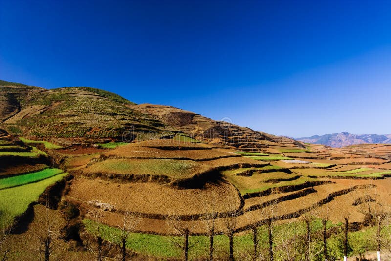 Red Land Picture. Image 8185113