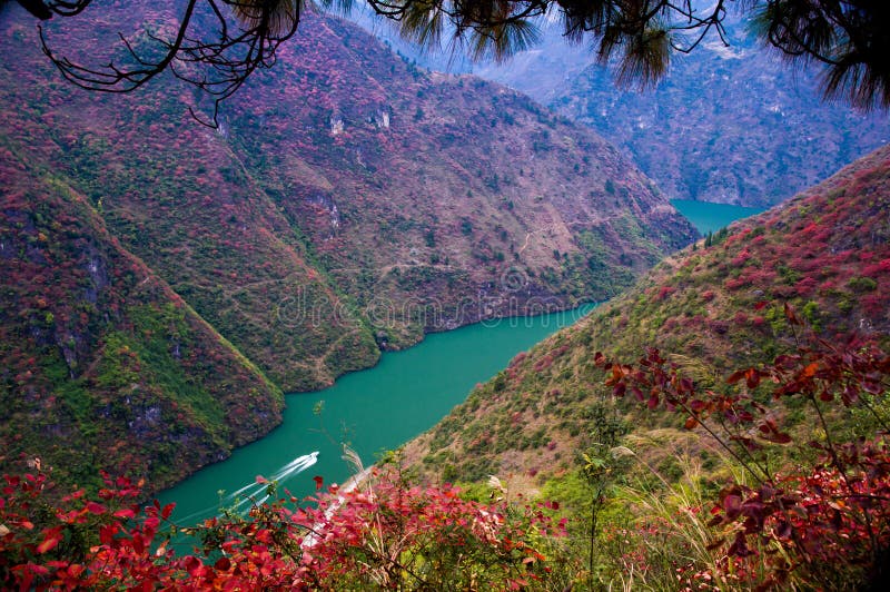 The red leaf in The Three Gorges at Yangtze river, China. Roughness stock images, royalty-free photos and pictures