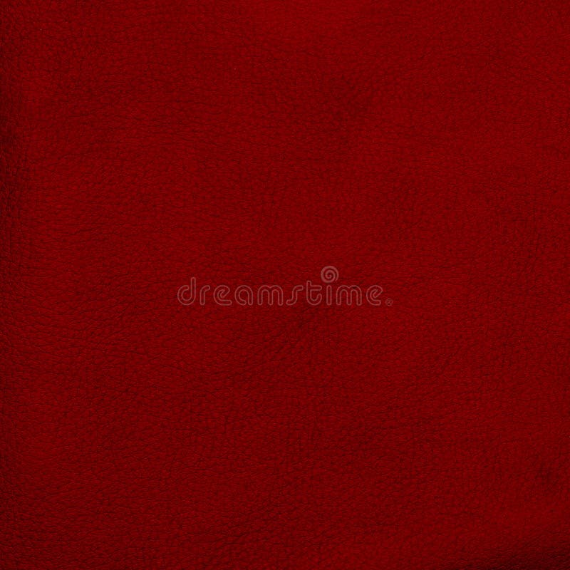 790 Red Crocodile Leather Texture Stock Photos - Free & Royalty-Free Stock  Photos from Dreamstime