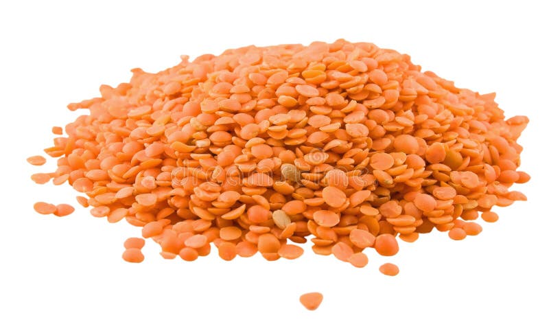 Red lentil royalty free stock photography Red lentil royalty free stock photography