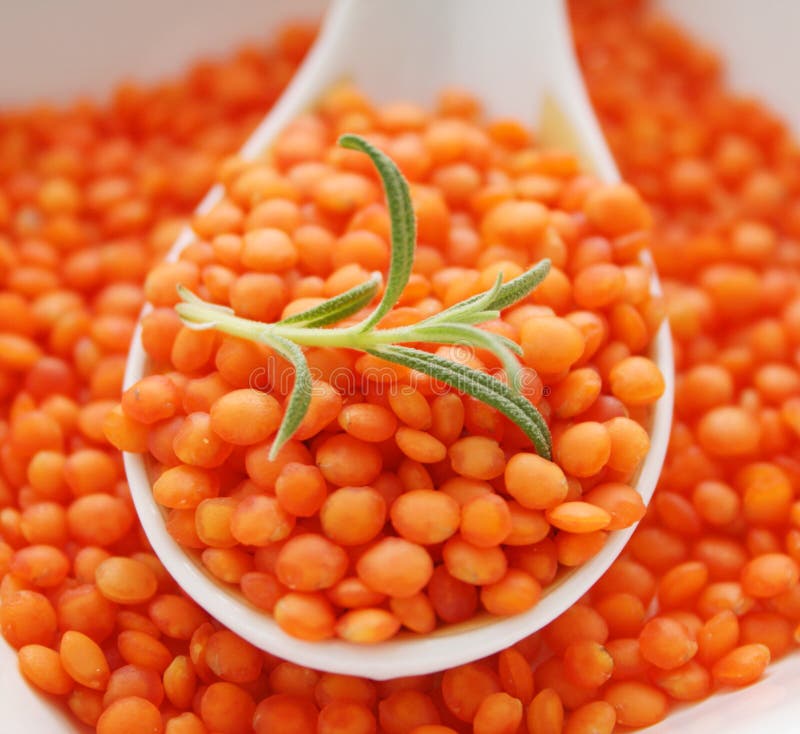 Lentils Asian Style stock photo. Image of decorative, beautiful 3185044
