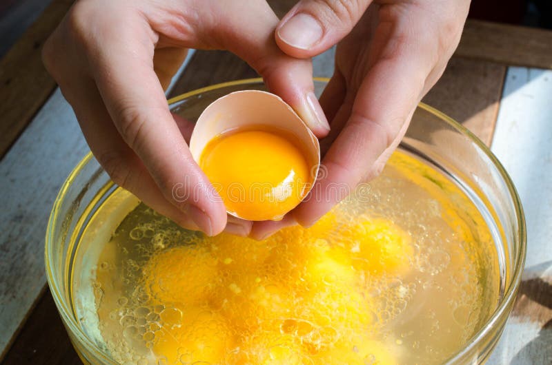 Raw Egg Yolk in Vegetable Oil Stock Image Image of nutrition, natural