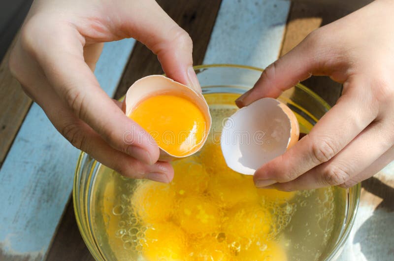 Raw Egg Yolk in Vegetable Oil Stock Image Image of cholesterol