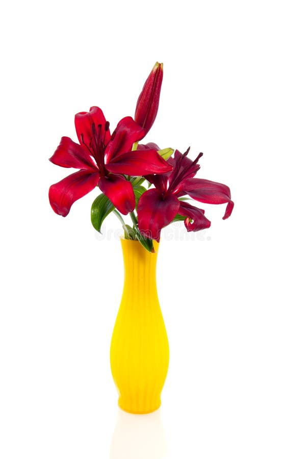 Red Lilies in a Yellow Glass Vase Stock Image Image of head