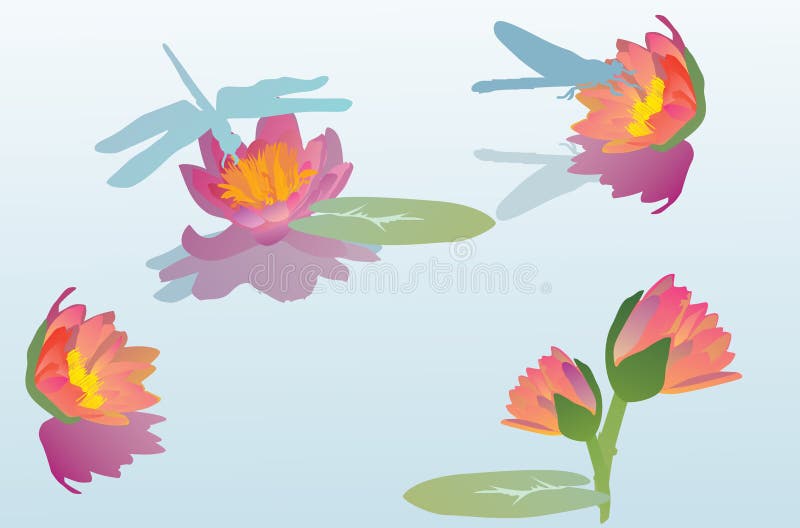 Red lily and dragonflies illustration