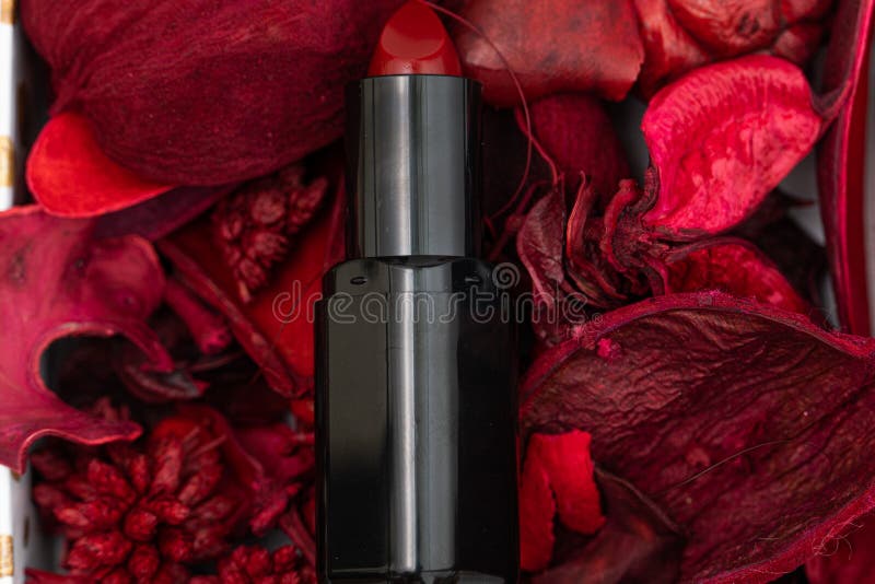 Red Lipstick Cosmetics Lies on Background of Decorative Flower Petals Stock Photo - Image of lies: 225464858
