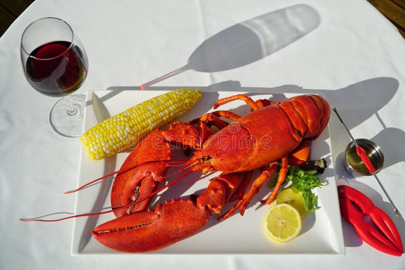 Lobster and Wine stock photo. Image of close, isolated 9859584