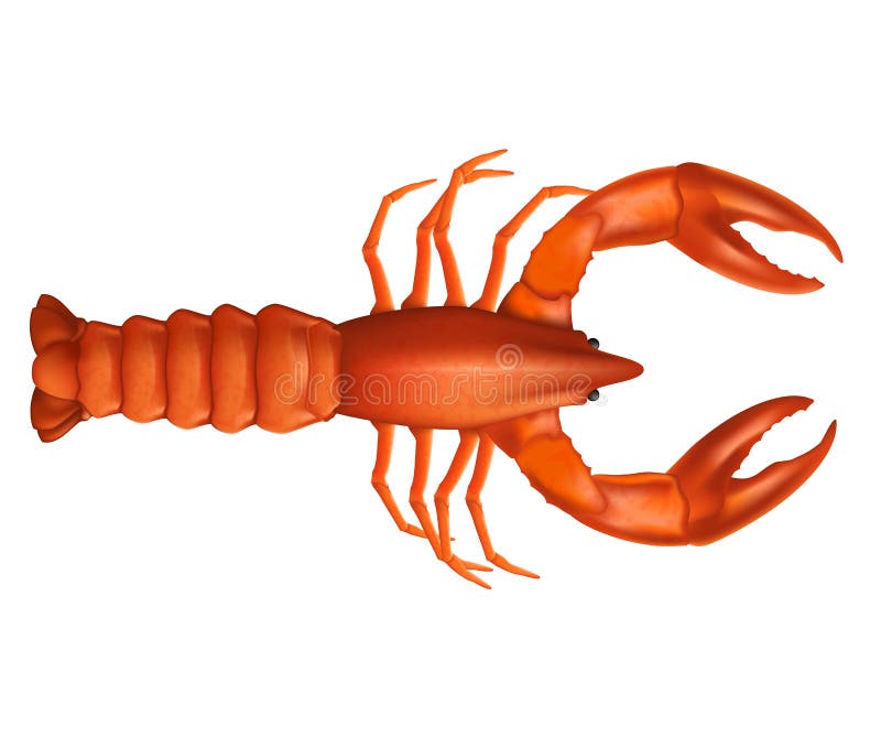 Red Lobster with Two Claws Realistic Vector Illustration. Stock Vector