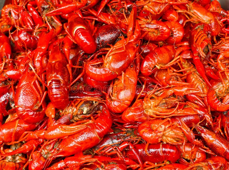 Red lobsters stock image. Image of delicious, stack, gourmet 28992505