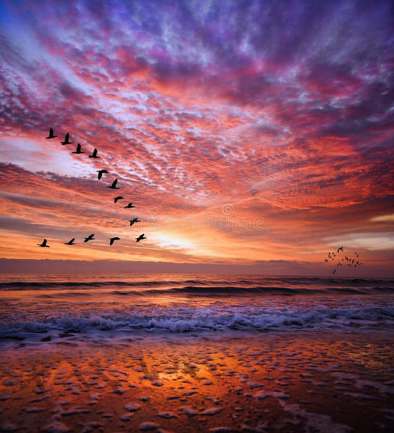 Red magical sunset.BULGARIA