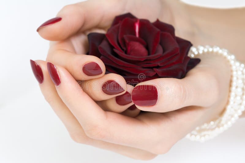 Red manicure and rose