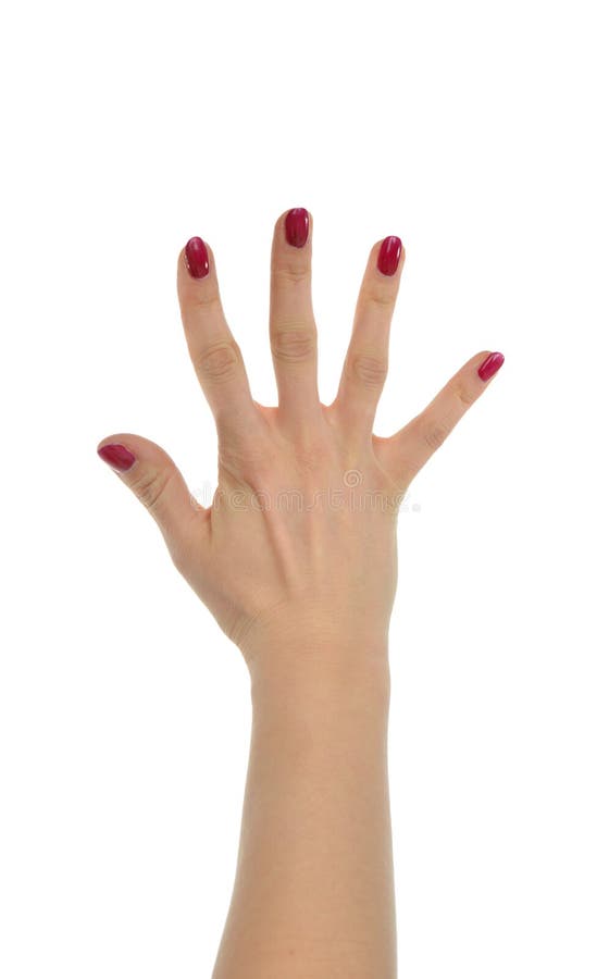 Manicured Female Hand Gesture Number Five Fingers Up Stock Image