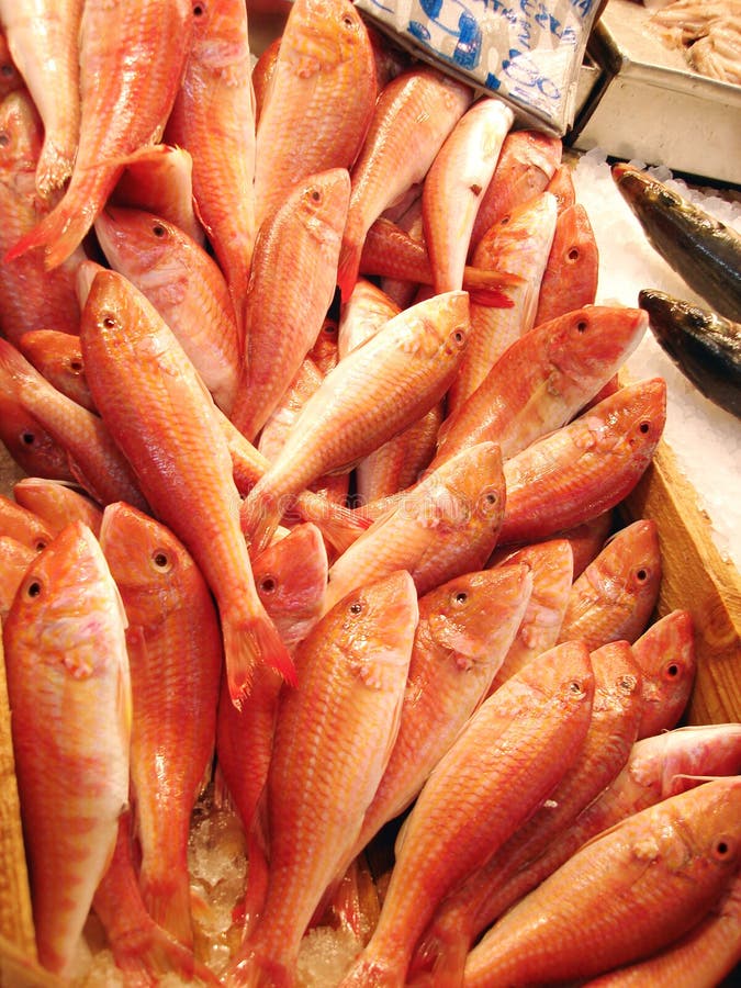 Red mullet stock photo. Image of stall, nutrition, sell 9541372