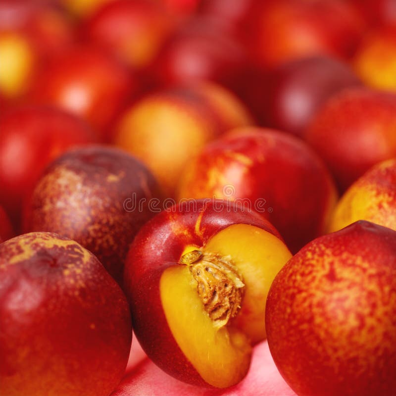 Fresh red juicy nectarines closeup. Fresh red juicy nectarines closeup