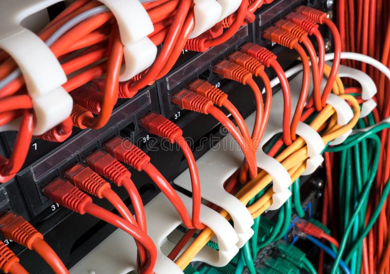 Red network cables connected to switch royalty free stock photography