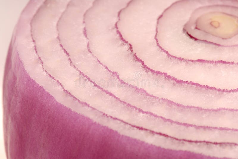 Onion skin stock photo. Image of produce, round, meal 10812718