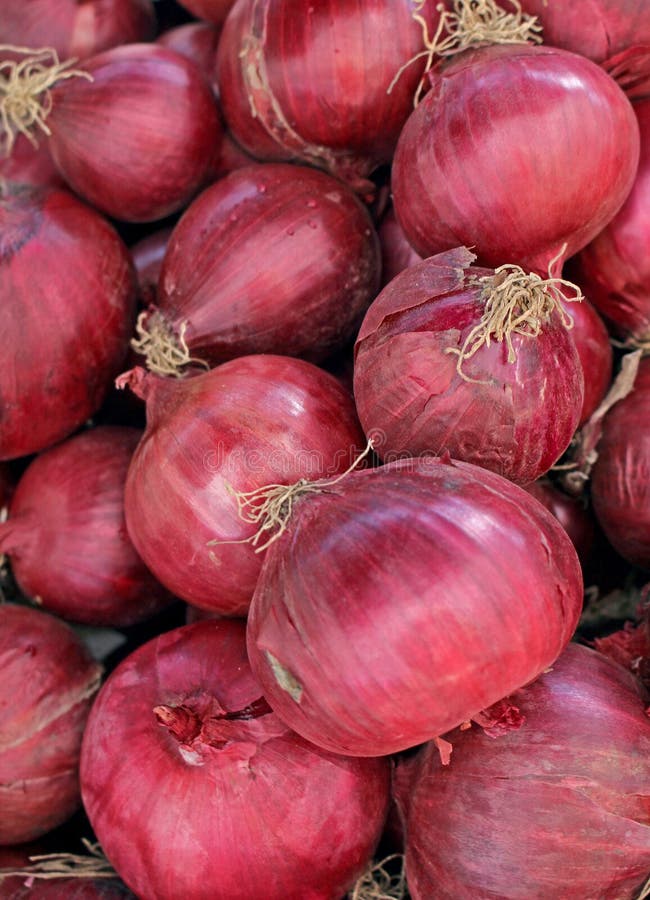 Onion stock photo. Image of root, food, onions, onion 37781628