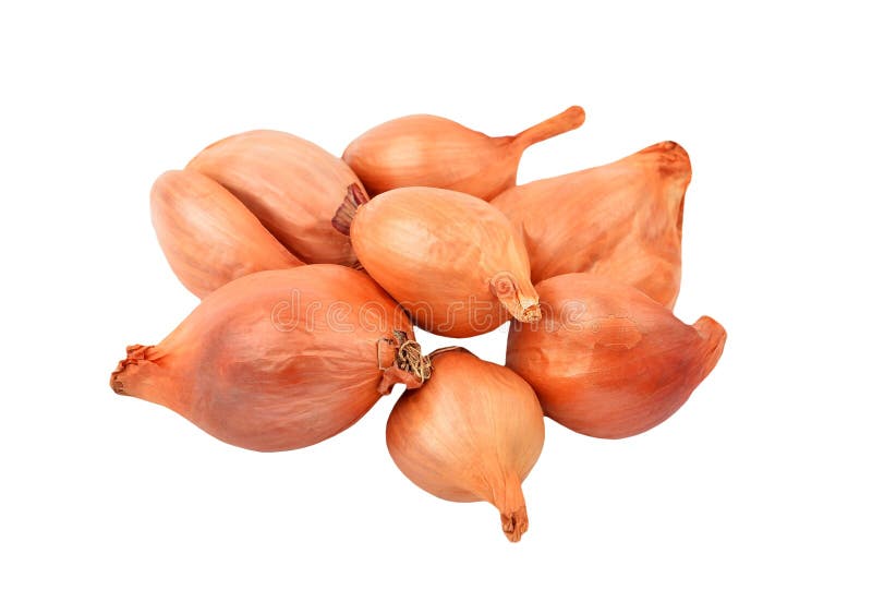 Red onion bulb stock photo. Image of reddish, food, garden 119450602