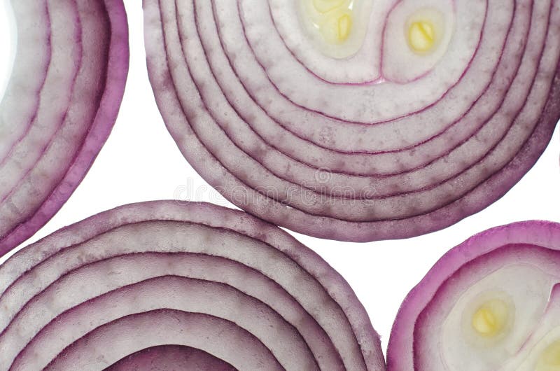 Yalta Onions Circle Slice Stock Photos Free & RoyaltyFree Stock