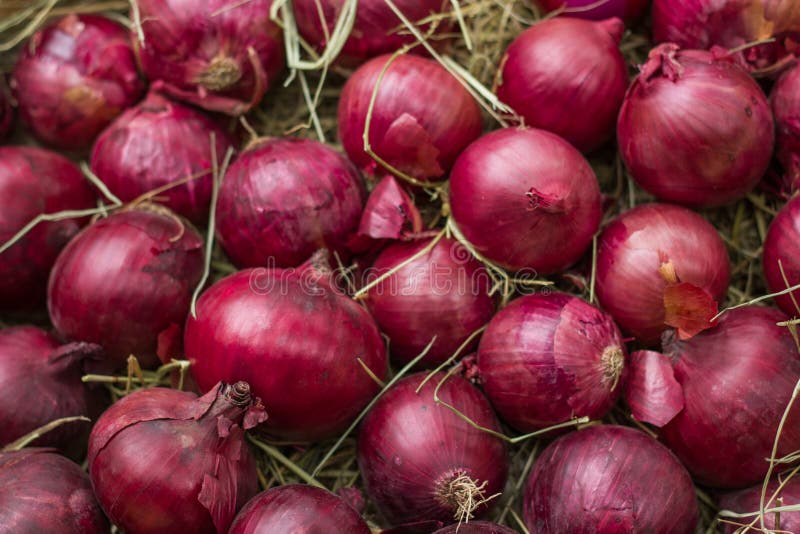 Dark Market Onion Dark Market Onion