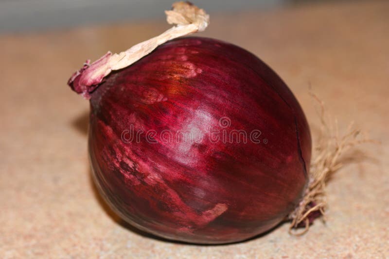 Red Onion in a Kitchen stock photo. Image of food, green - 17186274