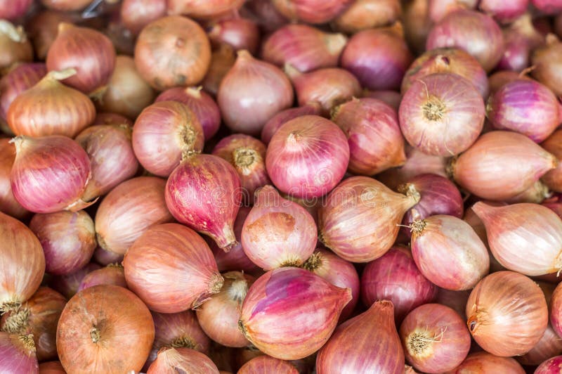 Shallots Asian Red Onions Stock Photo 1014956206