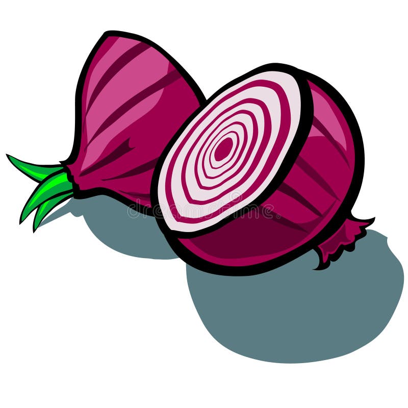 Red Onion Slice stock vector. Illustration of shadow - 49978740