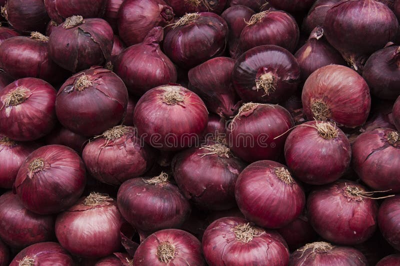 Shallot Stock Photos and Images - 123RF