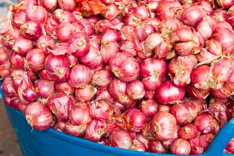 Red onions in market stock photo. Image of calabria, agriculture - 23536966