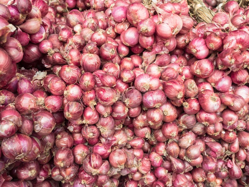 Red onions stock photo. Image of agricultural, natural 76301524
