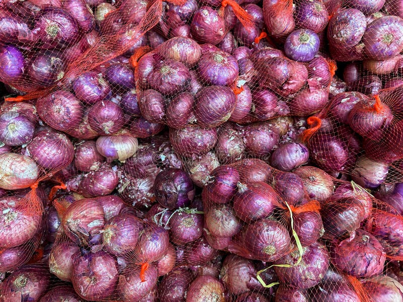 Small Red Onions Shallots Stock Photo 1796207