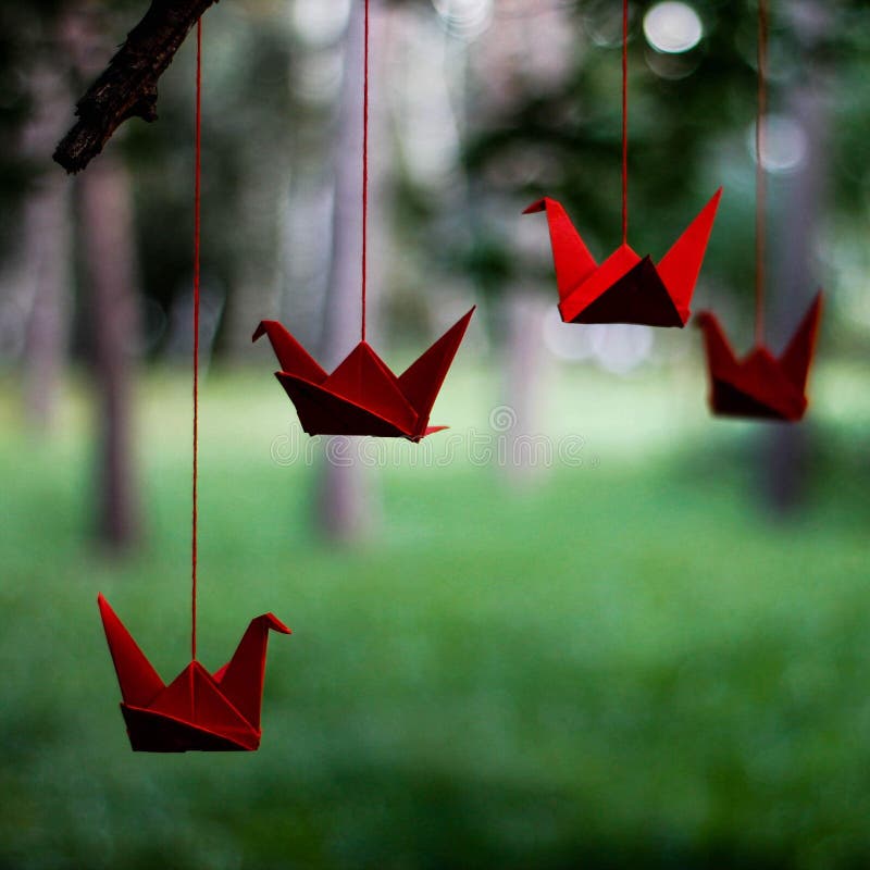 Red Origami Cranes Hanging on the Tree Stock Image Image of garden