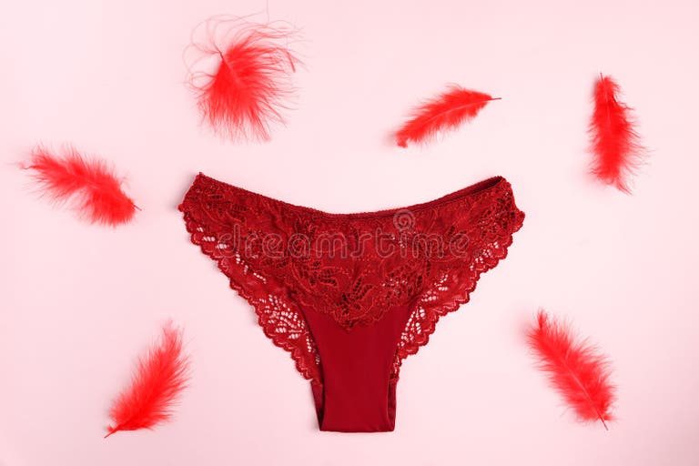 red-panty-lace-feathers-pink-background-copy-space-209590470.jpg