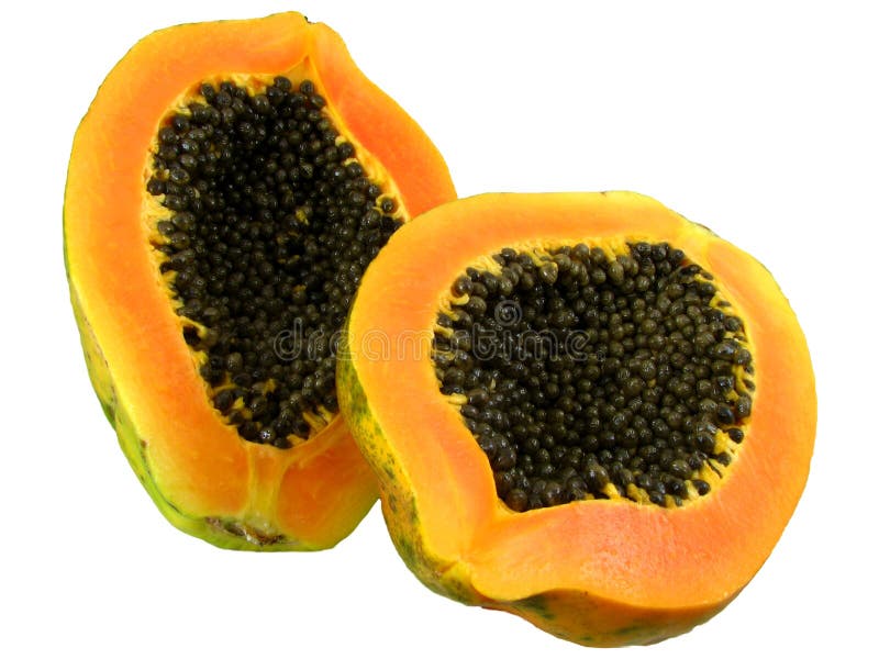 Red Papaya 1 stock photo. Image of papaya, breakfast 22239352