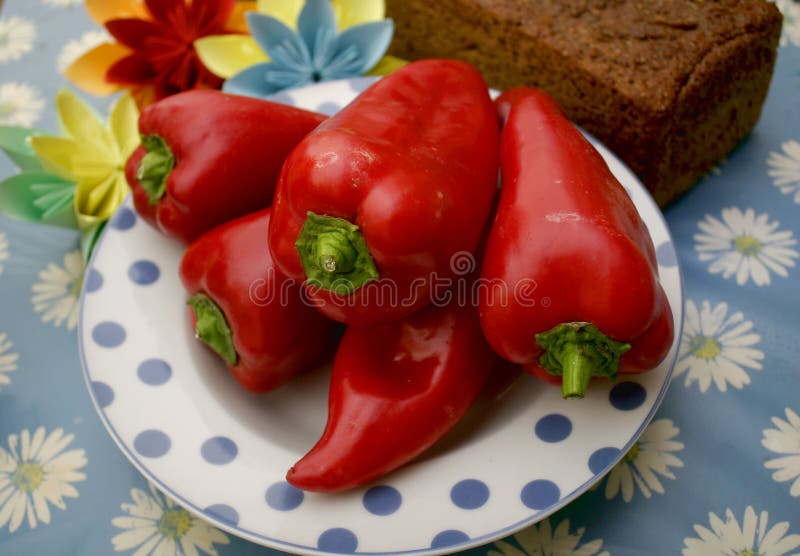 Red Paprika stock photo. Image of paprika, bread, ingredient 97814288