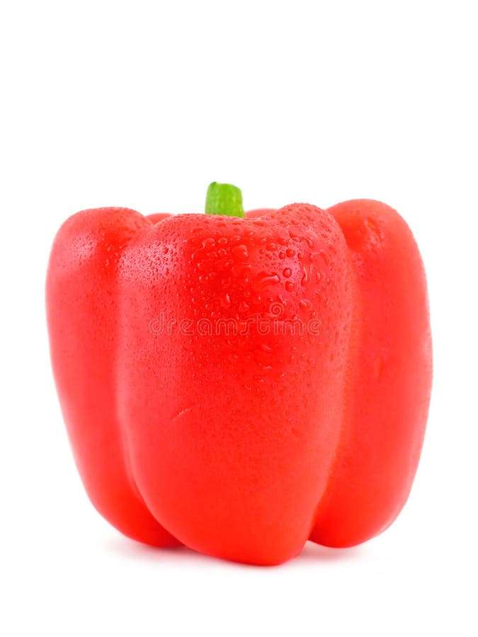 Red hot paprika in water stock photo. Image of meal, close 14700290