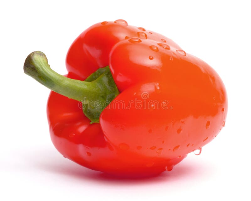 Red hot paprika in water stock photo. Image of meal, close 14700290