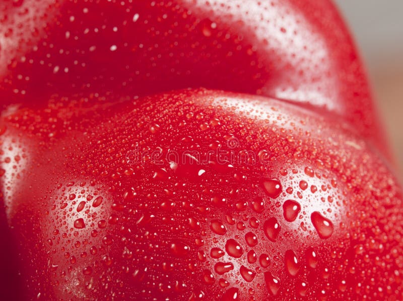 Red hot paprika in water stock photo. Image of meal, close 14700290